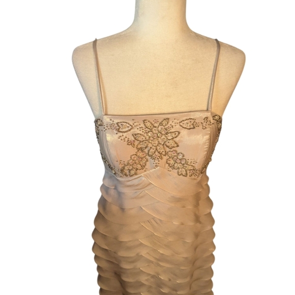 Alex Evenings Layered Tiered Beaded Long Gown with Matching Sheer Jacket Sz 8P - Picture 3 of 11